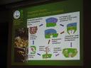 k-img_4869.JPG