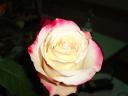 k-dsc01128.JPG