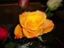 k-dsc01129.JPG