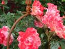 k-dsc01151.JPG