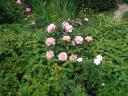 k-dsc01177.JPG