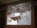 k-img_0893.JPG