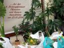 k-img_2140.JPG