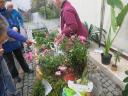 k-img_2153.JPG