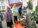 k-img_2162.JPG