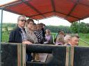 k-k-img_3492.JPG