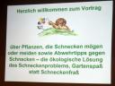k-img_5031.JPG