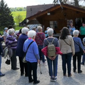 Eine Kuh macht muh, viele Kühe machen Mühe