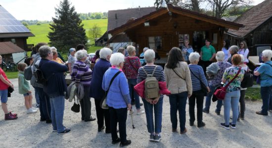 Eine Kuh macht muh, viele Kühe machen Mühe