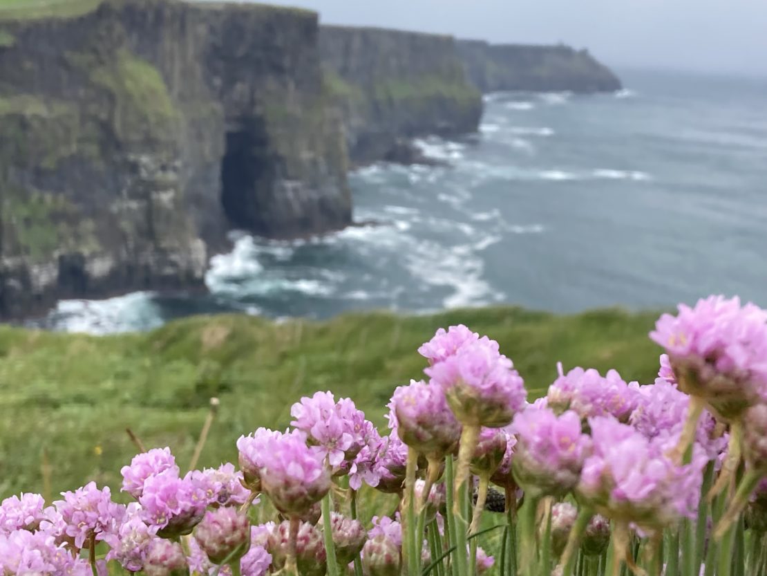 Kliff bei Moher
