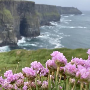 Irlandreise der LandFrauen vom 14.bis 21.5. 2022
