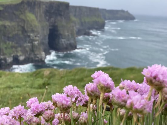 Irlandreise der LandFrauen vom 14.bis 21.5. 2022