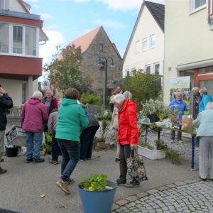 Pflanzen- und Samentauschbörse