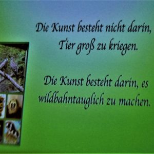 Wildtiere in Not