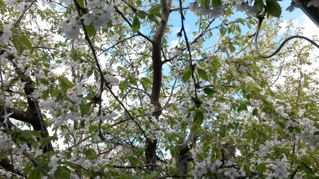 20190428_153350