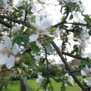Frühling, Spiel der Requisiten
