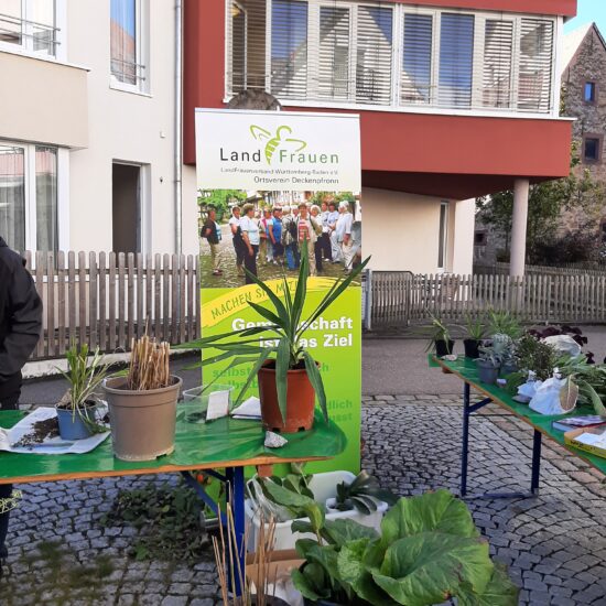 12. Deckenpfronner Pflanzen- und Samentauschbörse