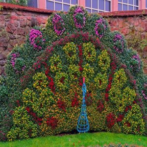 Fahrt zur Chrysanthema in Lahr