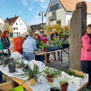 Pflanzen- und  Samentauschbörse
