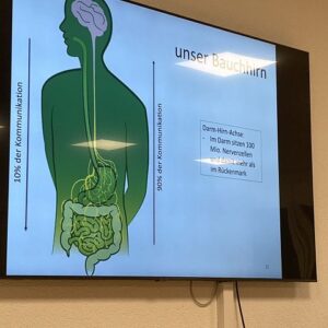 Magen und Darm – ein systemisches Meisterwerk