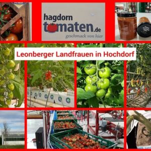 Gemüse aus der Region