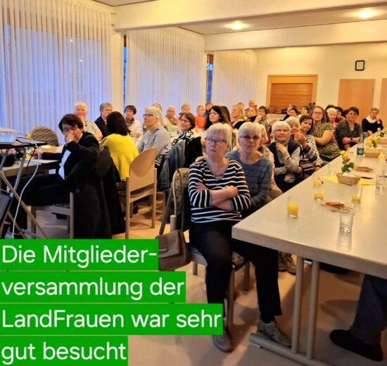 Mitgliederversammlung mit Wahlen und Rückblick