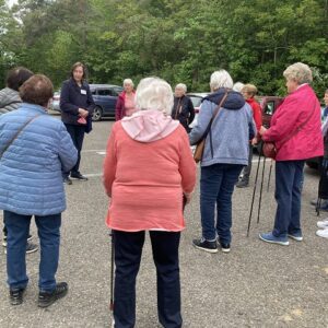 Gehirntraining in der Natur
