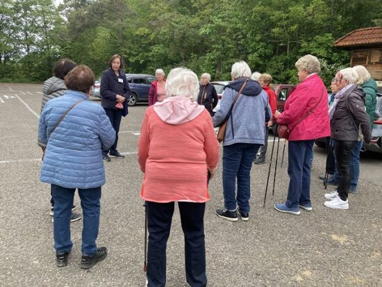 Gehirntraining in der Natur