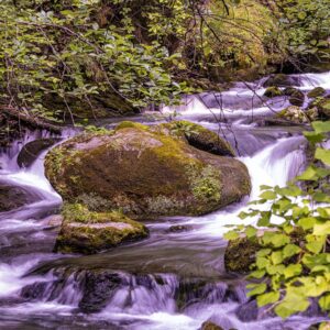 Wasser – Elixier des Leben