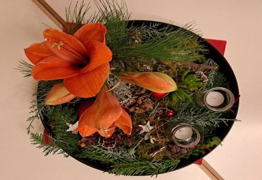 „Der kleine Prinz“ auf schwäbisch