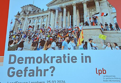 Demokratie in Gefahr