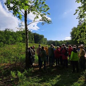 Zukunft des Waldes
