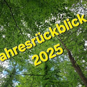 Jahresrückblick / Altes Leonberger Krankenhaus