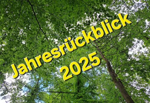 Jahresrückblick / Altes Leonberger Krankenhaus