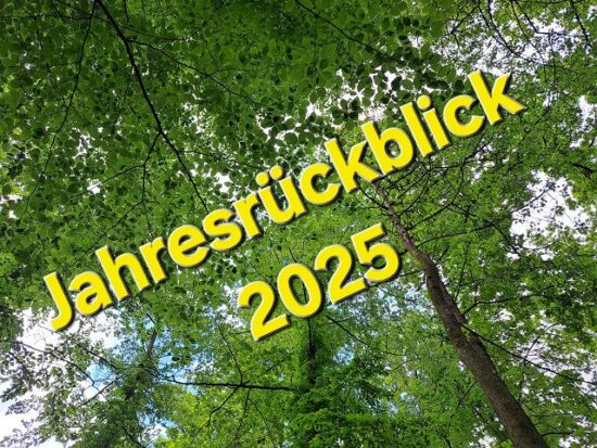 Jahresrückblick / Altes Leonberger Krankenhaus